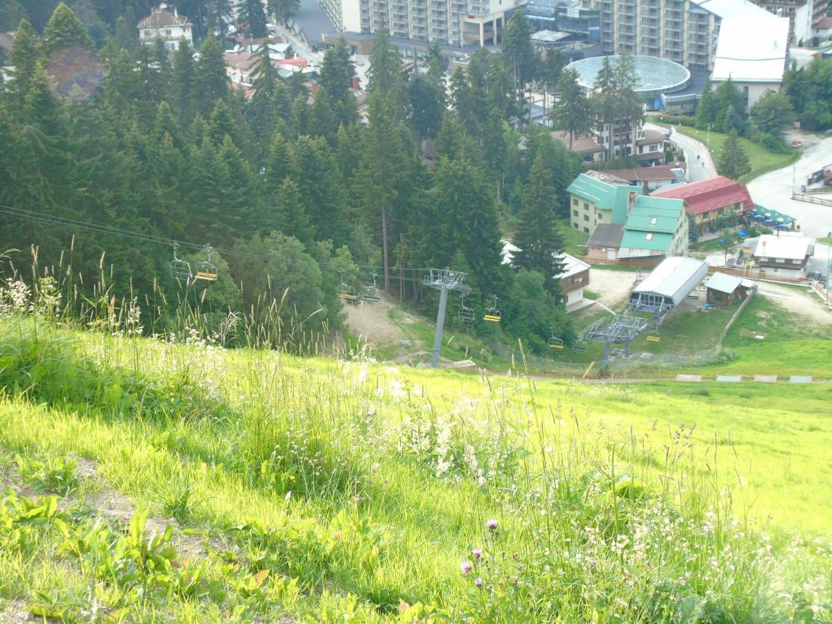 Хотел Флора Private Studio All Seasons Διαμέρισμα Μπόροβετς Εξωτερικό φωτογραφία